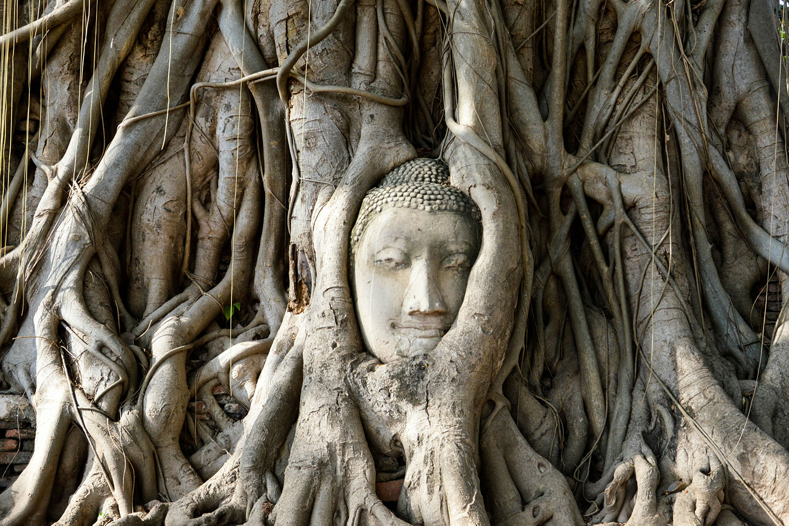 Vier Symbole für die Vier Edlen Wahrheiten