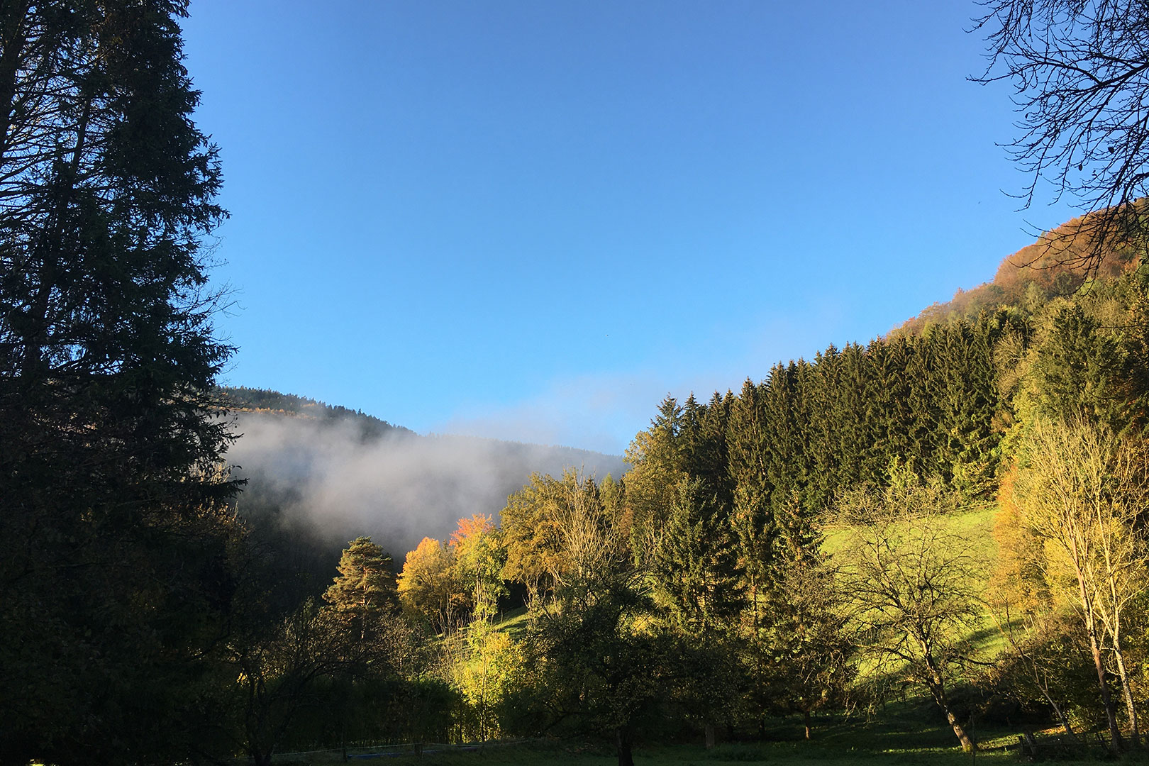 Meditationsraum im Buddhistischen Zentrum Scheibbs