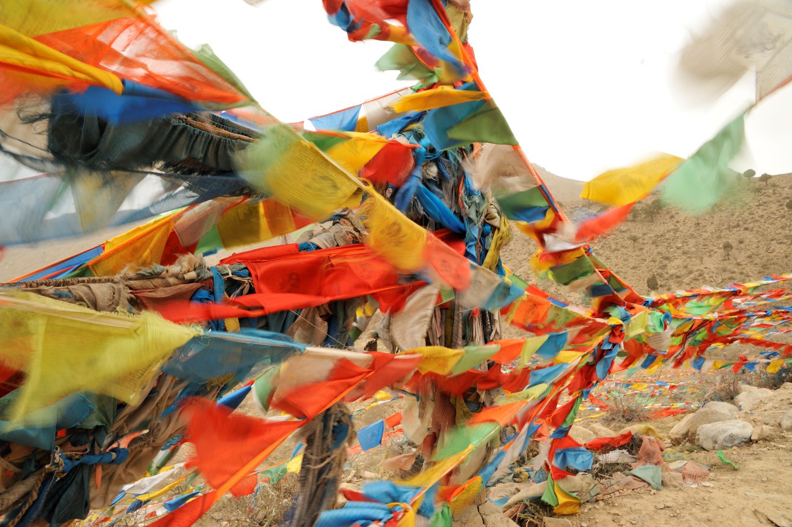 Vier Symbole für die Vier Edlen Wahrheiten