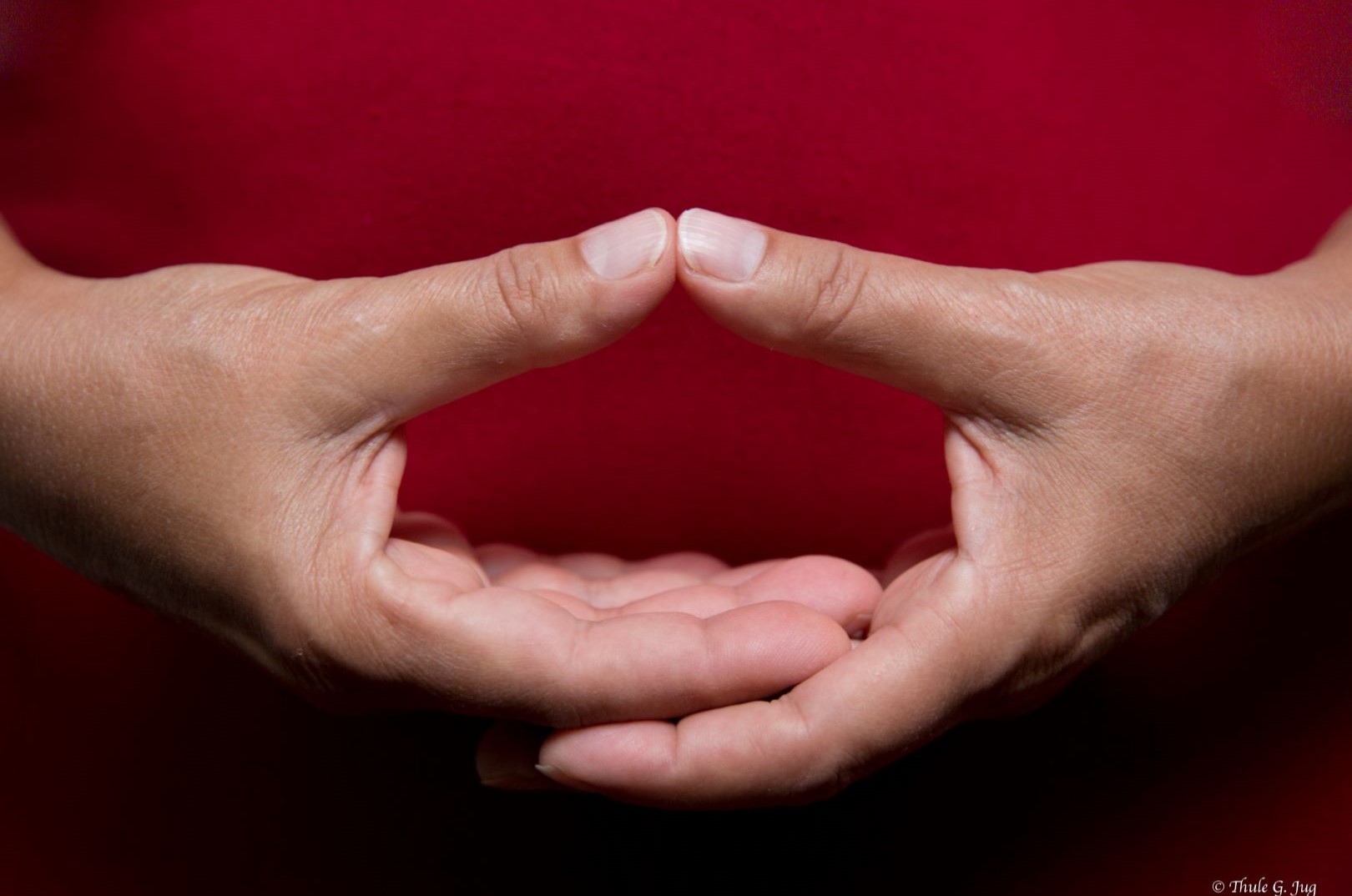 Vier Symbole für die Vier Edlen Wahrheiten